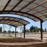 IMG_8731 (1)